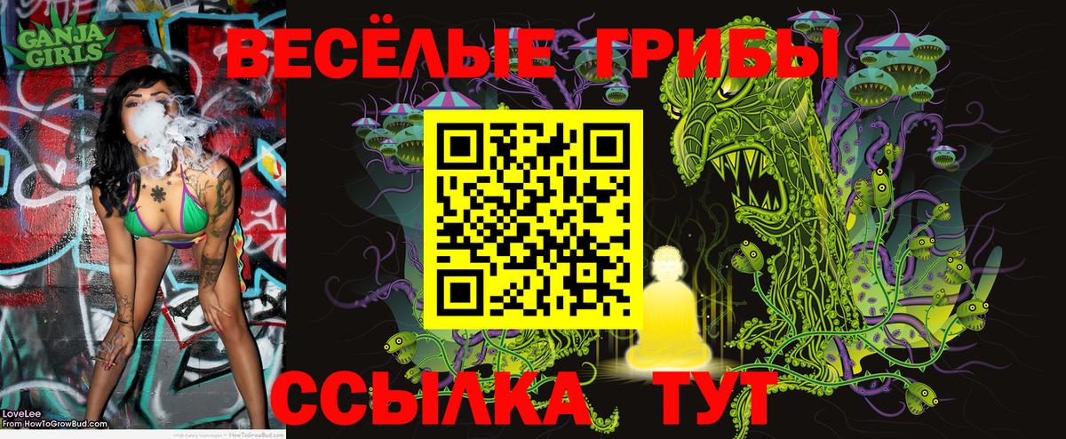 Галлюциногенные грибы Psilocybe  Батайск  Галлюциногенные грибы Psilocybe 