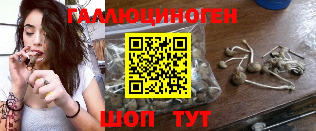 Батайск  как найти закладки  Вход с VPN  Псилоцибиновые грибы GOLDEN TEACHER 
